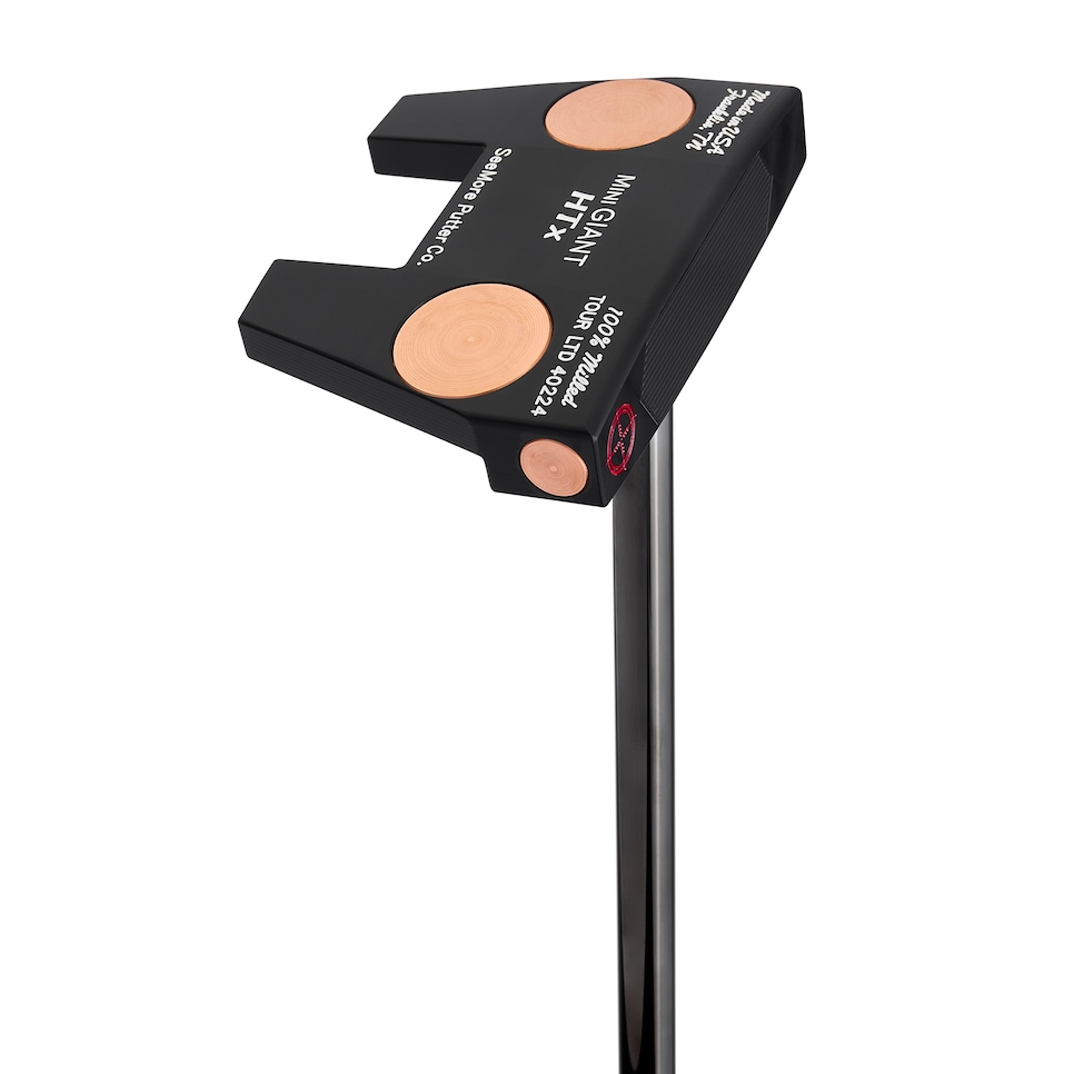 /content/dam/images/golfdigest/fullset/hotlist-2025/mallet-putters/SeeMore_Mini Giant HTX_MP_Hero_1139.jpg